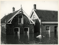 1977-3890 Een overstroomde boerderij in Rotterdam tijdens de watersnoodramp van 1953 in Zeeland en delen van Zuid-Holland.
