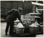 1977-3938 De aankomst van Italiaanse hulpgoederen tijdens de watersnoodramp van 1953 in Zeeland en delen van Zuid-Holland.