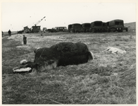 1977-3983 Omgekomen paarden na de watersnoodramp van 1953.