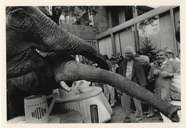 1992-1156 Het Hilton Hotel heeft de olifanten van circus Darix Togni op de koffie gevraagd. Ook Gerard Cox en Hans ...