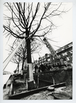1994-1866 Bomentransport over water. Per schip worden bomen aangevoerd voor de Spangensekade en de Aelbrechtskade.