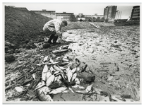 2001-1142 Zalmhaven drooggevallen. Nadat de gedempte Zalmhaven is drooggevallen, proberen vrijwilligers van de ...