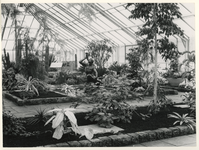 XXXIII-1250-04-02-5 Tijdens de Internationale Tuinbouwtentoonstelling Floriade biedt de Koningshof plaats voor ...