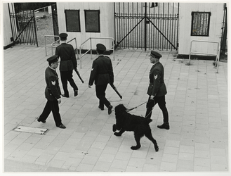 XXXIII-1559-1 Politieagenten met hond bij de toegang van voetbalclub Excelsior op zoek naar de voortvluchtige(n) van de ...