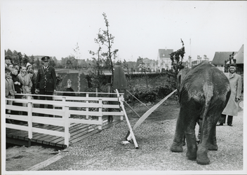 XXXIII-579 Vooropening van de nieuwe Diergaarde te Blijdorp door de olifant Aida.
