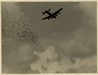 XXXIII-646-02-01-9 Het afwerpen van voedsel door geallieerde vliegtuigen op een afwerpterrein bij het Kralingse Bos.