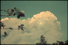1978-2684 Rookwolken van de brand na het bombardement van Rotterdam van 14 mei 1940, gezien vanuit Overschie.