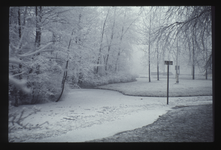 FD-4317 Winter in het Park met bevroren vijvers en besneeuwde bomen.