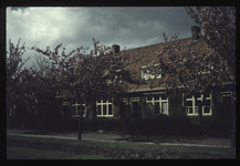 FD-4325 Woningen met daarvoor bloesembomen in Tuindorp Vreewijk