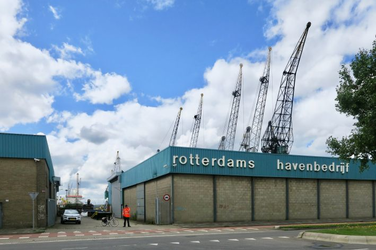489 Loodsen van het Rotterdams Havenbedrijf aan de Waalhaven Noordzijde